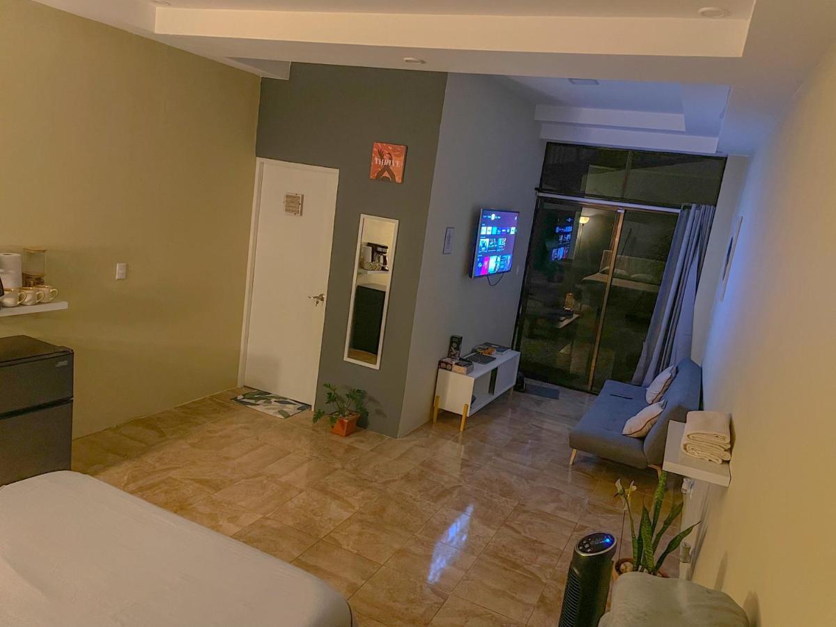 Zeus Guesthouse -Free Sjo Airport Shuttle La Garita エクステリア 写真